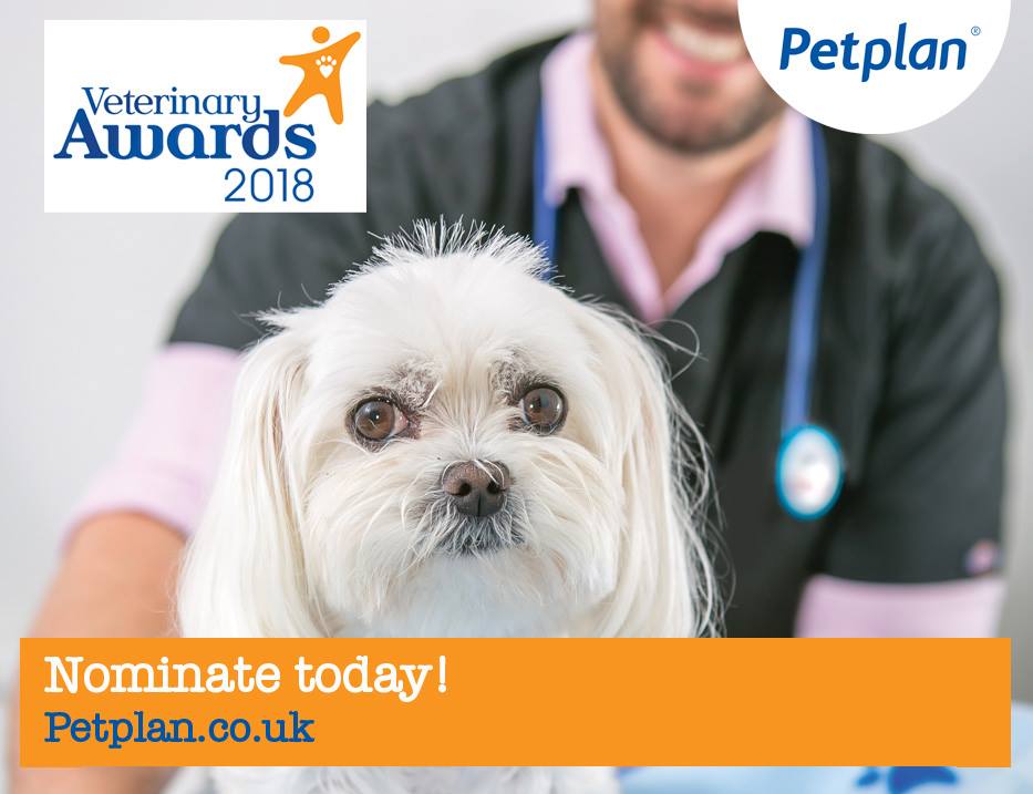 nominations-open-for-petplan-vet-awards-2018-blythman-partners