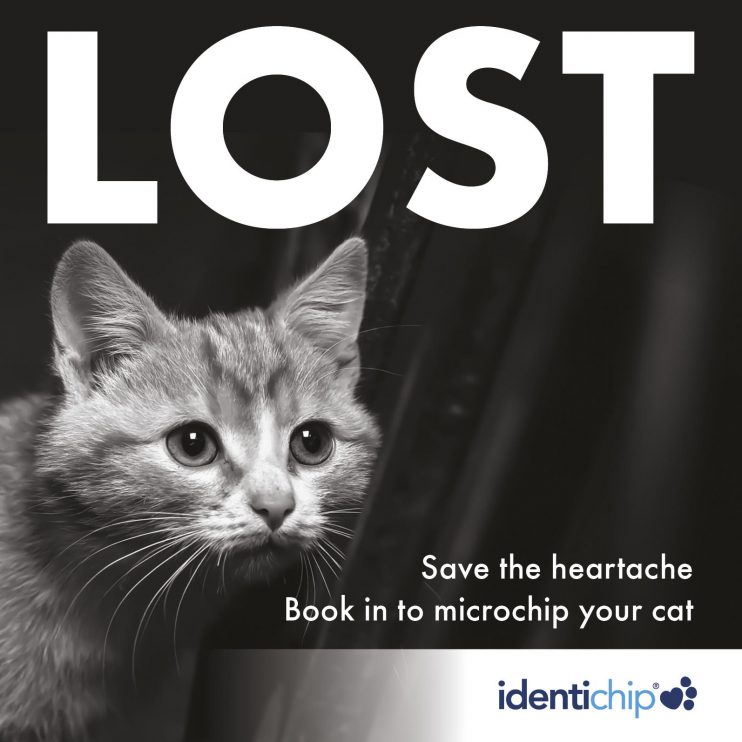 identichip collar tag