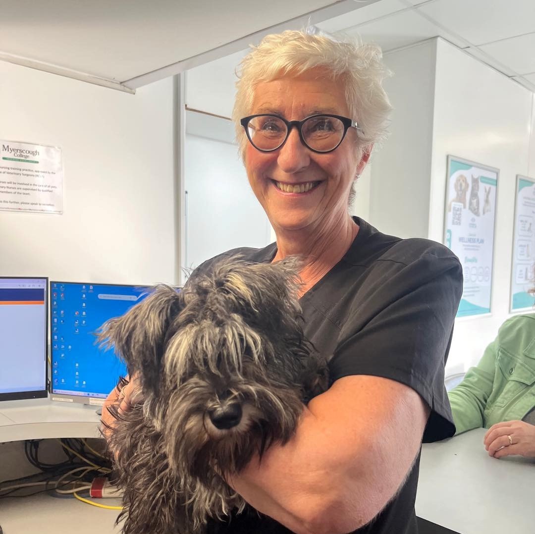 Blythman and Partners - Veterinary Practices in Tyne And Wear