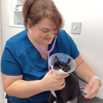 Blythman and Partners - Veterinary Practices in Tyne And Wear