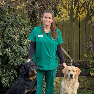 Blythman and Partners - Veterinary Practices in Tyne And Wear