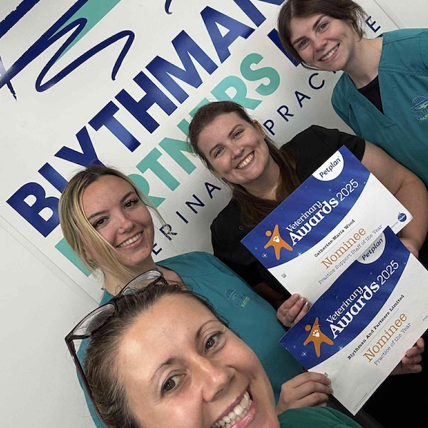 Blythman and Partners - Veterinary Practices in Tyne And Wear