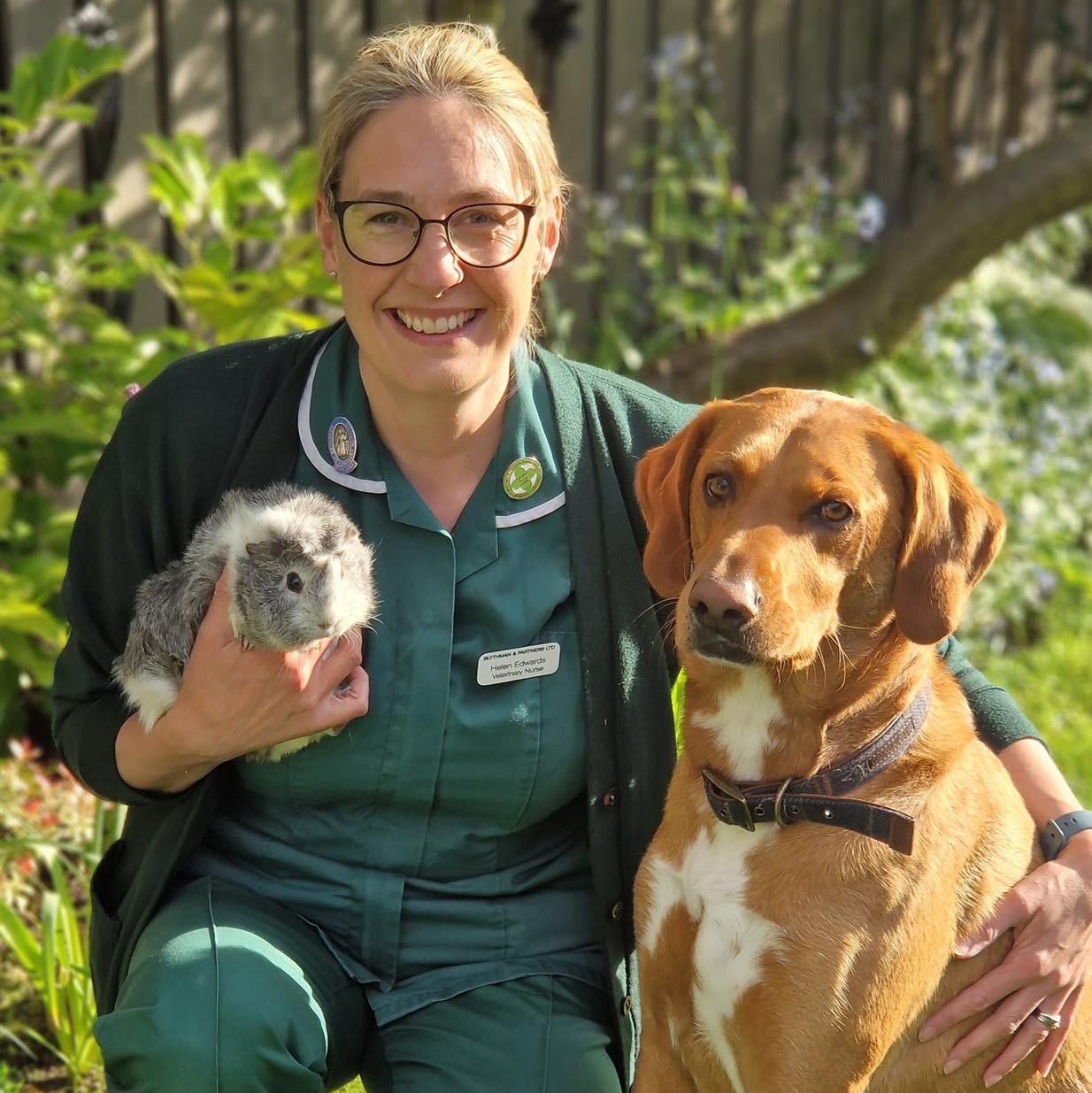 Blythman and Partners - Veterinary Practices in Tyne And Wear