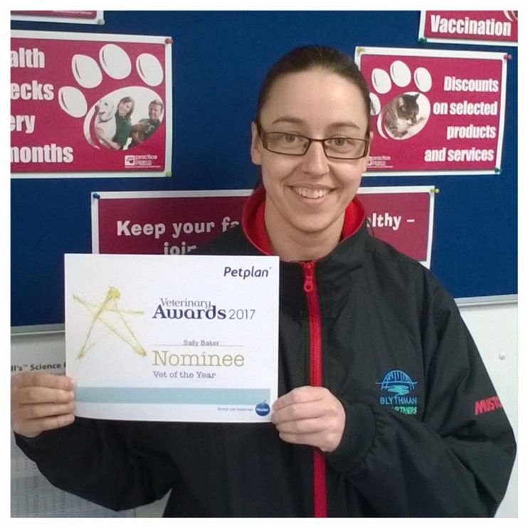 sally-s-petplan-vet-of-the-year-nomination-blythman-partners