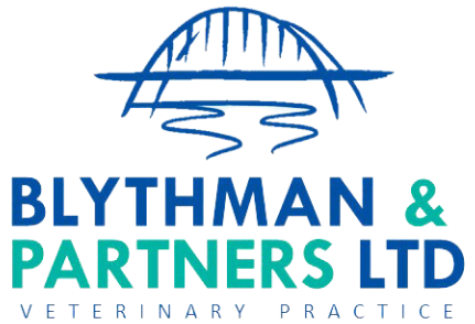 Blythman and Partners - Veterinary Practices in Tyne And Wear