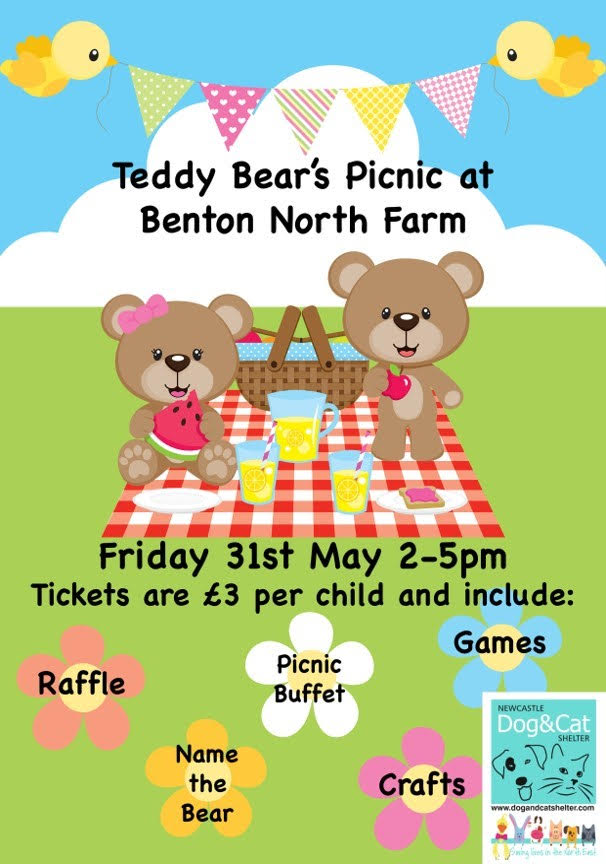 Teddy Bear's Picnic, Friday 31st May - Blythman and Partners ...