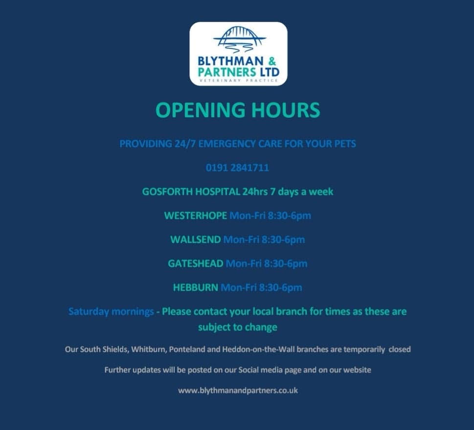 Our new opening hours - Blythman and Partners - Veterinary Practices in  Tyne And Wear