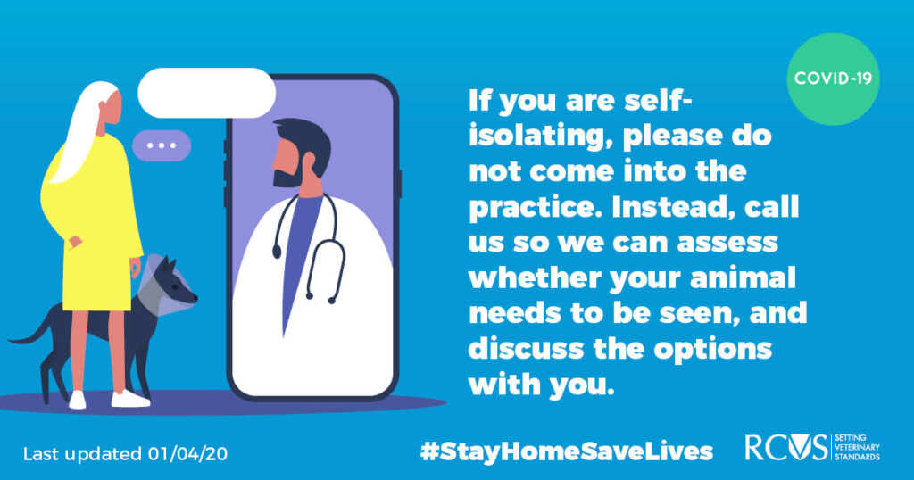 If you are self-isolating, please do not come into the practice. Instead, call us so we can assess whether your animal needs to be seen, and discuss the options with you.