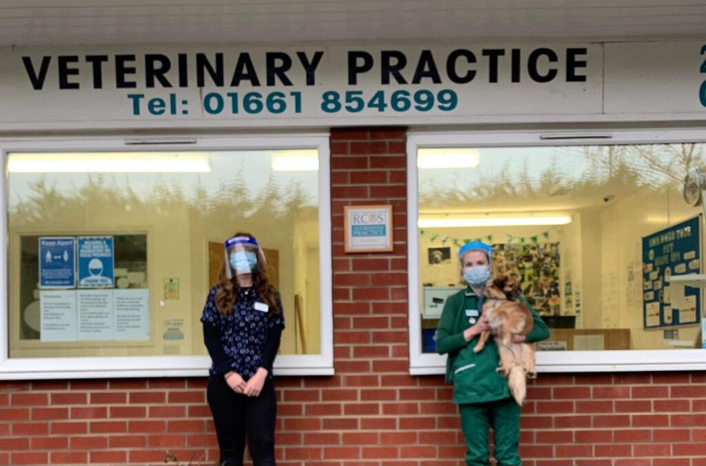 HeddonontheWall now open! Blythman and Partners Veterinary