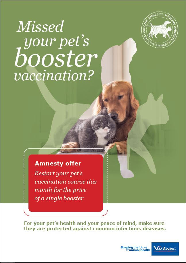 How Much Are Booster Injections For Dogs