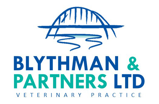 Blythman & Partners