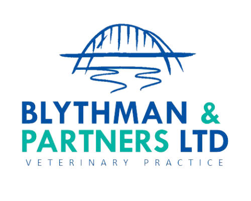 Blythman and Partners - Veterinary Practices in Tyne And Wear