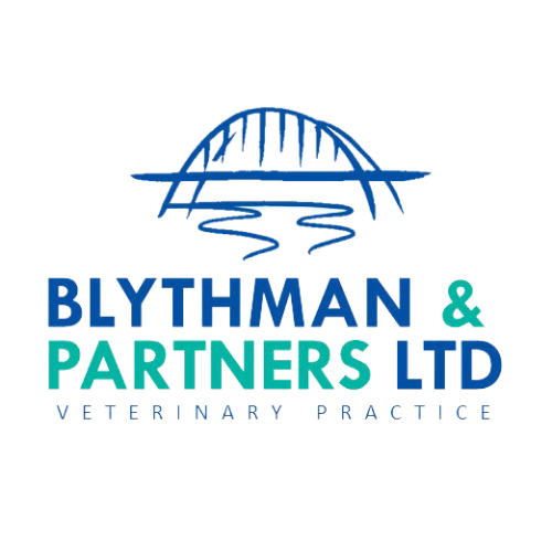 Blythman and Partners - Veterinary Practices in Tyne And Wear