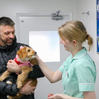 Blythman and Partners - Veterinary Practices in Tyne And Wear