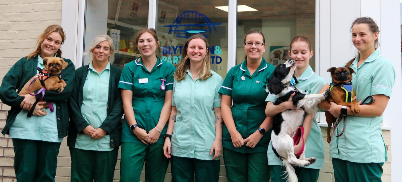 Blythman and Partners - Veterinary Practices in Tyne And Wear